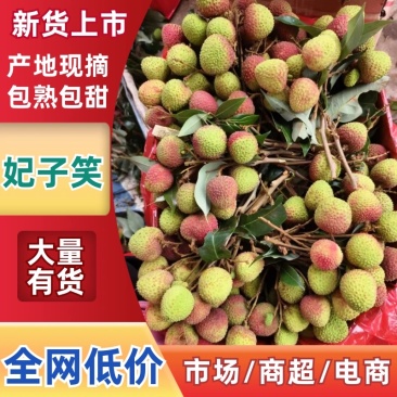 广东茂名精品妃子笑荔枝产地发货大量有货高品质
