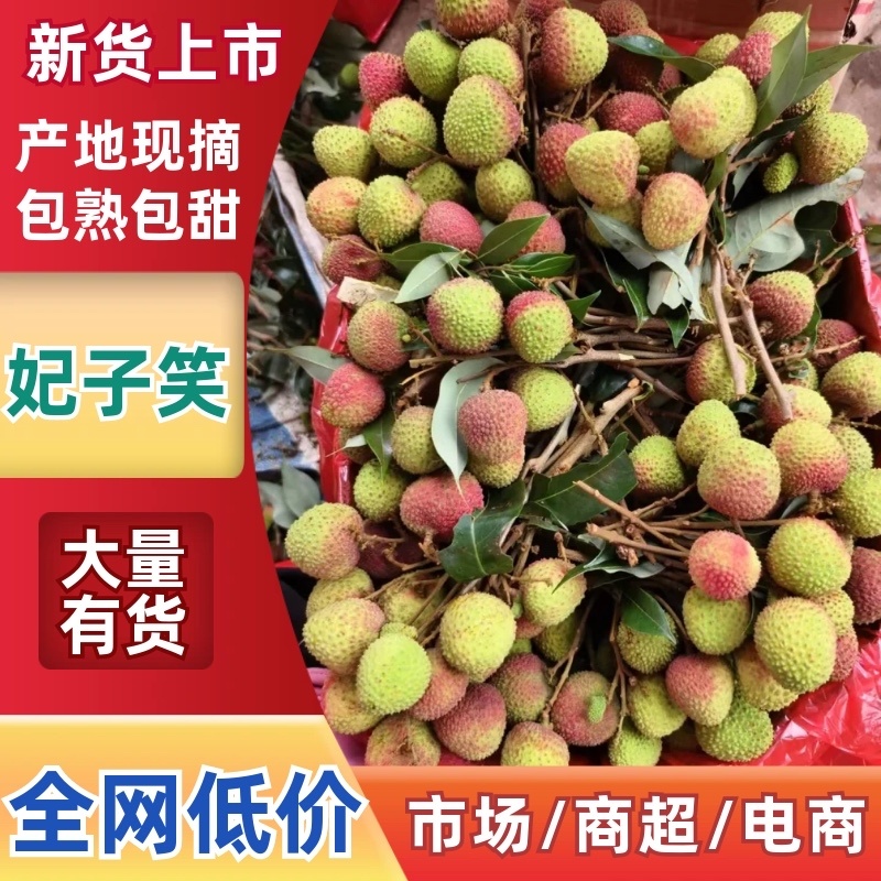 广东茂名精品妃子笑荔枝产地发货大量有货高品质