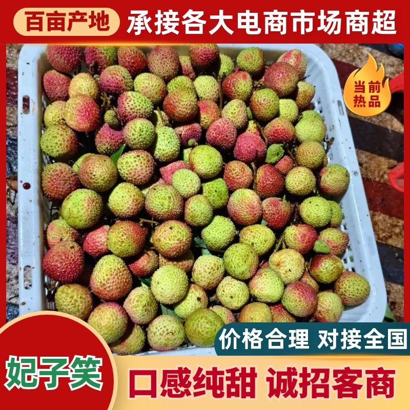 广东茂名精品妃子笑荔枝产地发货大量有货高品质
