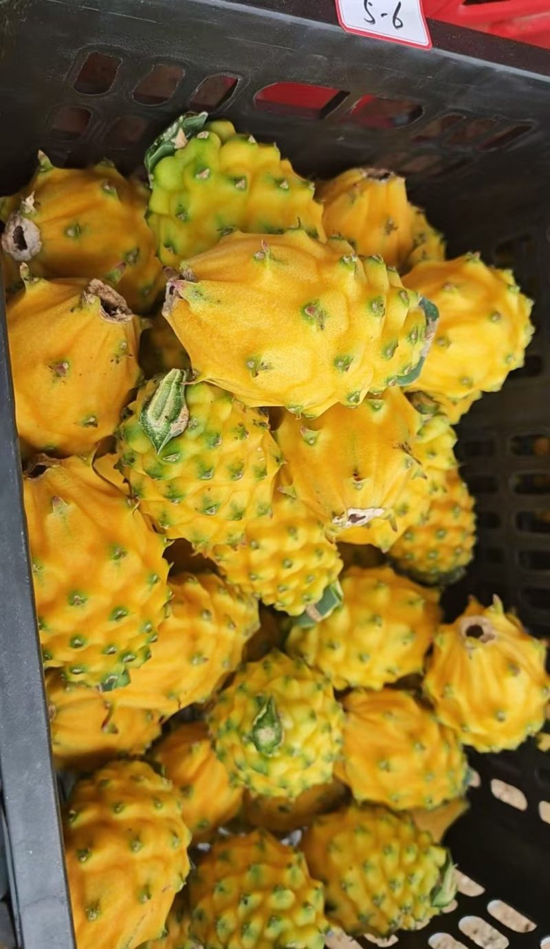 燕窝果
