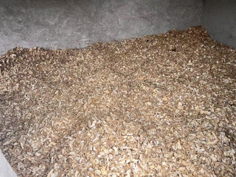云南罗平小黄姜干姜片小黄姜产地批发黄姜片，大量现货