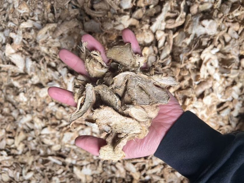 云南罗平小黄姜干姜片小黄姜产地批发黄姜片，大量现货