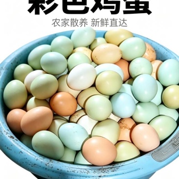 自家养的土鸡下的蛋🥚，每天现捡，新鲜到冒热气