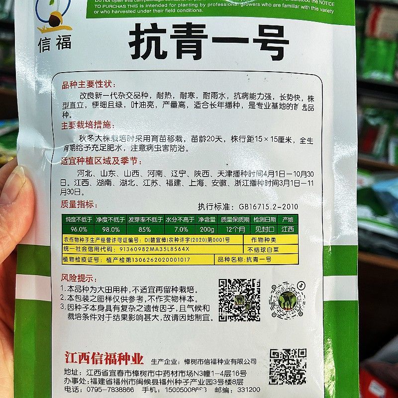夏至青梗菜种籽高温不拔节不卷叶青梗菜种子抗病高产春秋播种