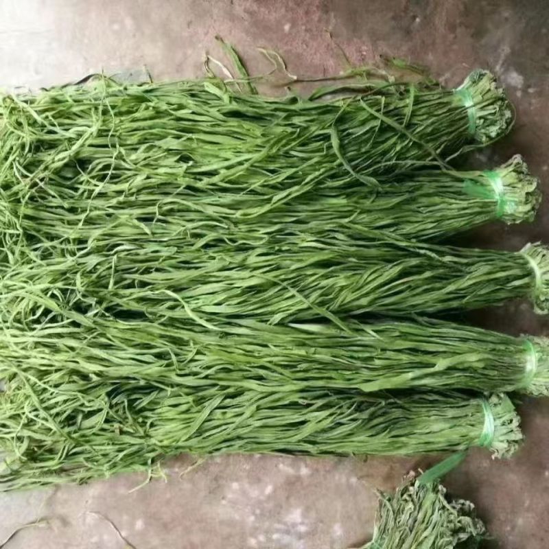 贡菜