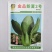夏至青梗菜种籽高温不拔节不卷叶青梗菜种子抗病高产春秋播种