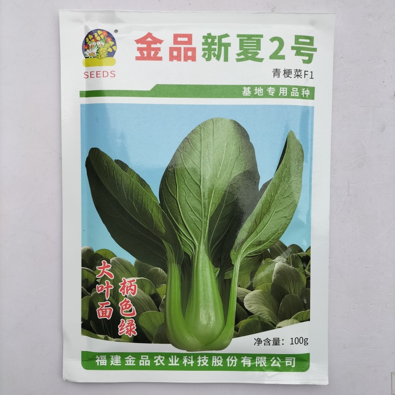 夏至青梗菜种籽高温不拔节不卷叶青梗菜种子抗病高产春秋播种