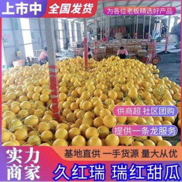 久红瑞甜瓜大量上市保质保量可视频看货欢迎咨询