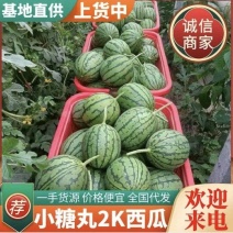 《小糖丸西瓜》2K西瓜/手剥西瓜/牛奶爆瓜/包熟包甜