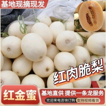 《红金蜜甜瓜》红肉脆梨/基地现货随到随装/提供一条龙服务