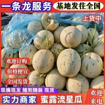 《蜜露流星甜瓜》单县基地直供/规格齐全/量大从优/全国发