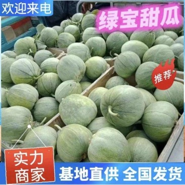头茬绿宝甜瓜/单县甜瓜/产地现货供应/商超~批发~团购