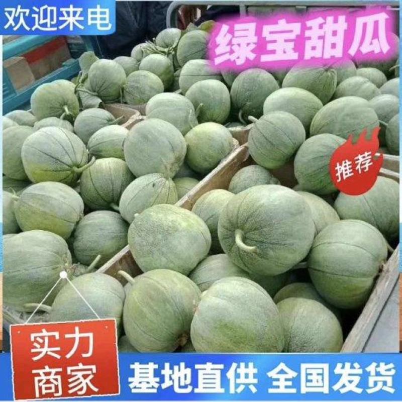 头茬绿宝甜瓜/单县甜瓜/产地现货供应/商超～批发～团购