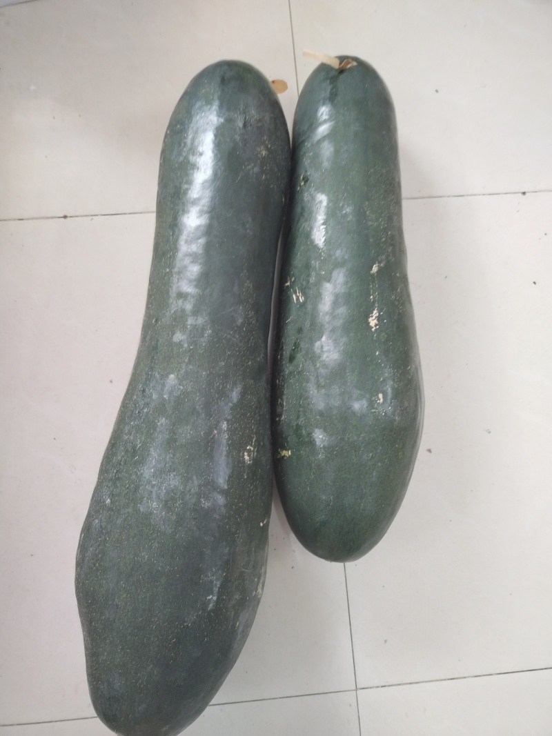 青皮冬瓜