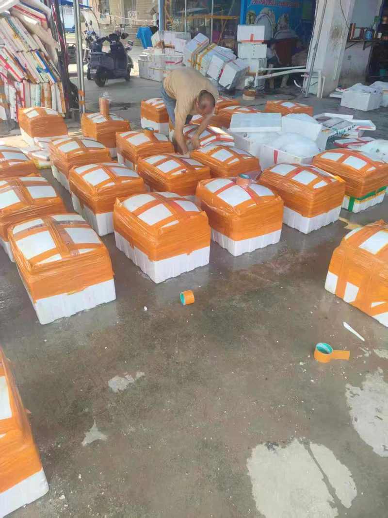 湛江生蚝产地直发量大价优半壳全壳/货源充足欢迎电联