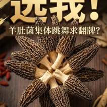 【推荐】羊肚菌干货规格齐全原产地直发实物拍摄