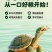养殖场用高蛋白龟粮——科学配比营养均衡