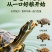 养殖场用高蛋白龟粮——科学配比营养均衡