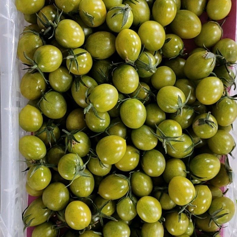 青甜小番茄口感纯甜适合中高端市场合作社发货
