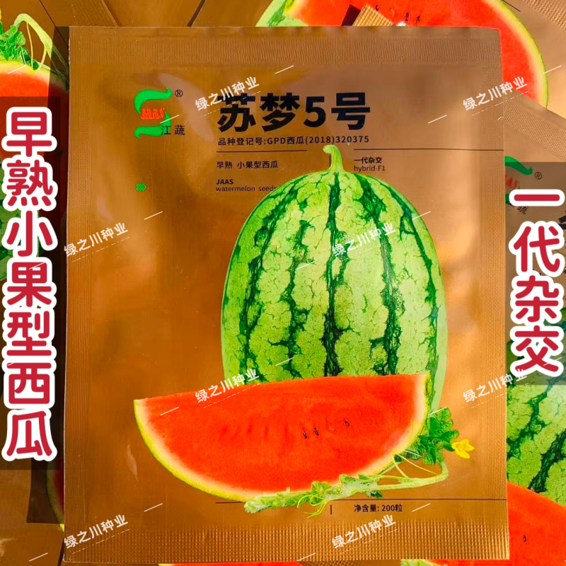 苏梦5号西瓜种子江蔬种苗正品早熟小果型西瓜种籽一代杂交