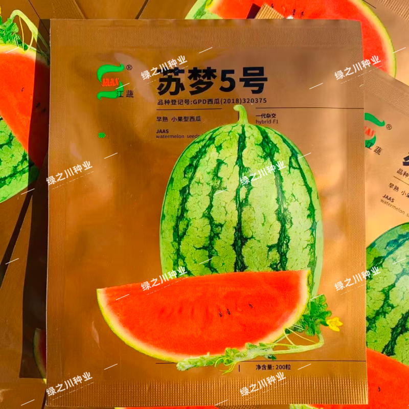苏梦5号西瓜种子江蔬种苗正品早熟小果型西瓜种籽一代杂交