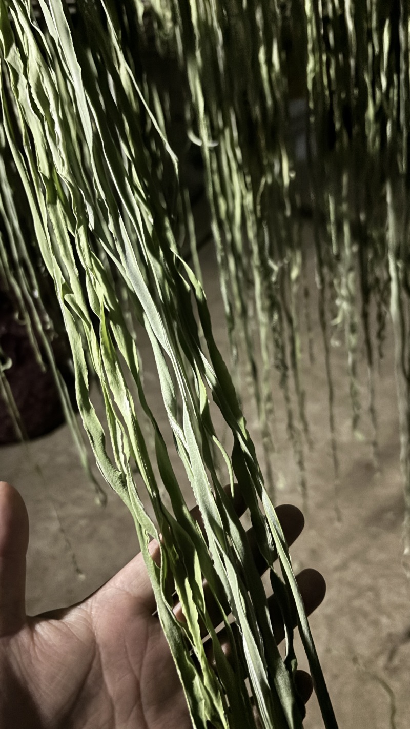 大理宾川贡菜干，自家晾晒，货源充足，产地现发