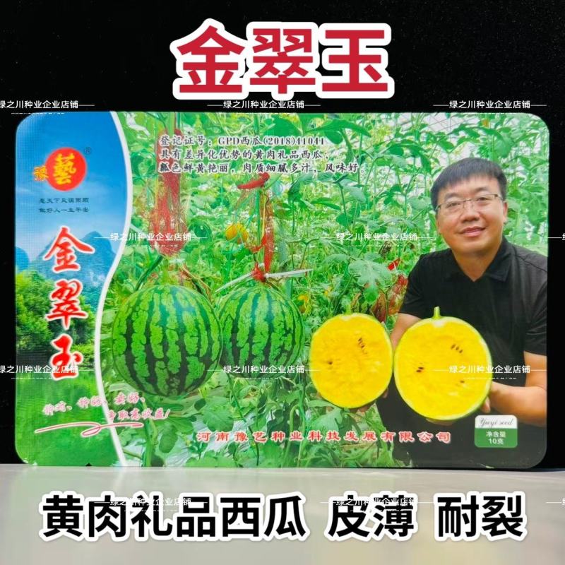 豫艺金翠玉西瓜种子皮薄黄肉黄肉奶油西瓜种子礼品西瓜种籽