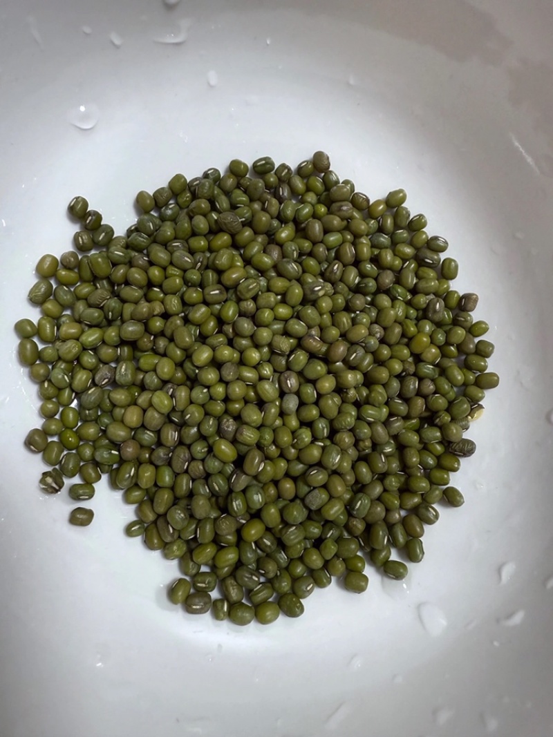 批发绿豆农家小粒绿豆可一件代发，可批发，对接全国