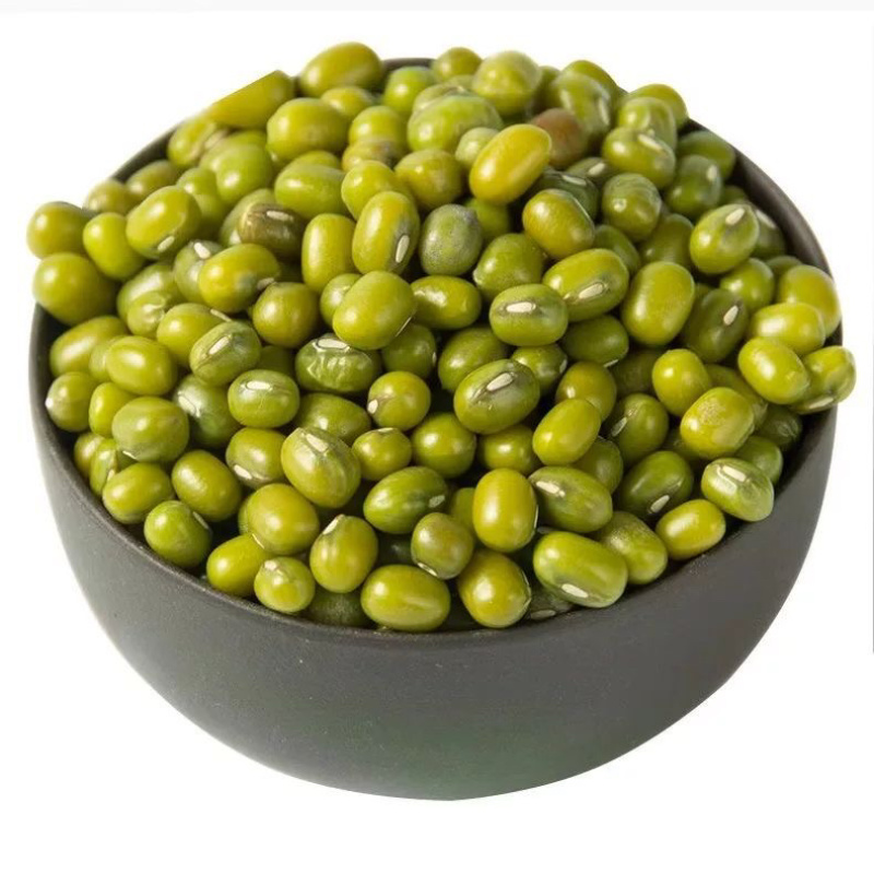 批发绿豆农家小粒绿豆可一件代发，可批发，对接全国