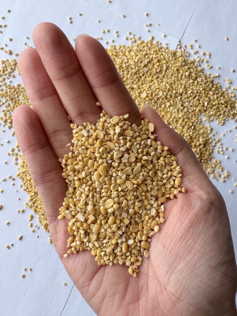 绿豆碎脱皮绿豆碎，大量上市，可一件代发，可批发，对接全国
