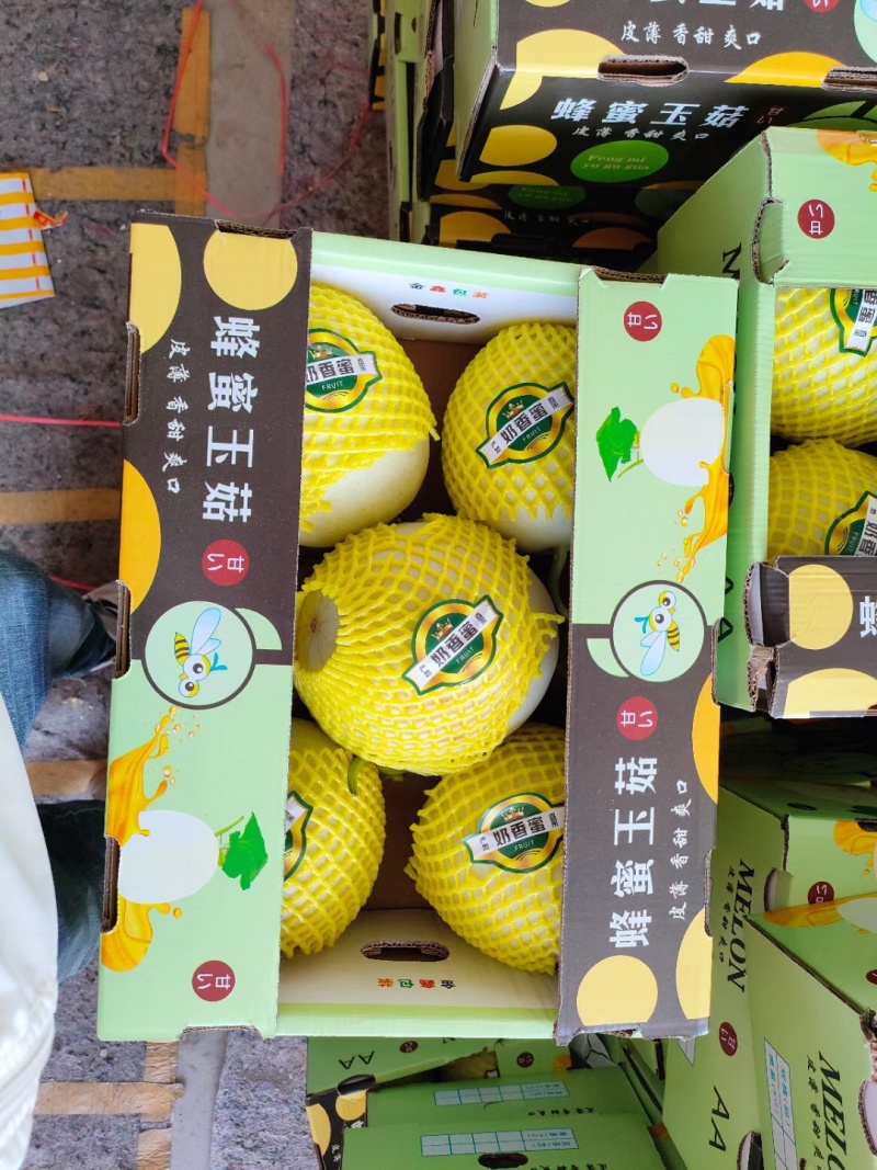 玉菇甜瓜大量上市对接各大商超，电商平台，支持一件代发