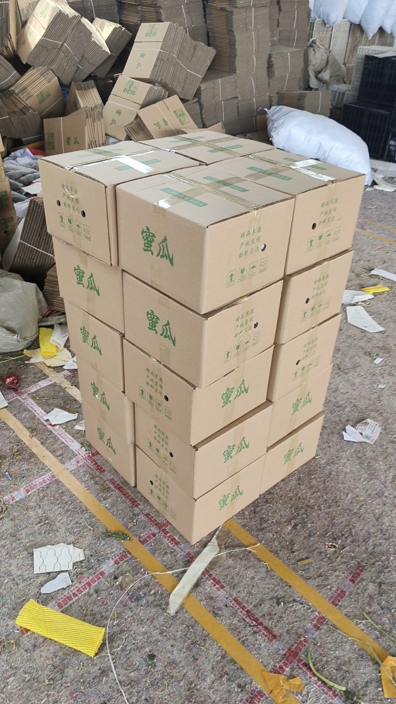 玉菇甜瓜大量上市对接各大商超，电商平台，支持一件代发