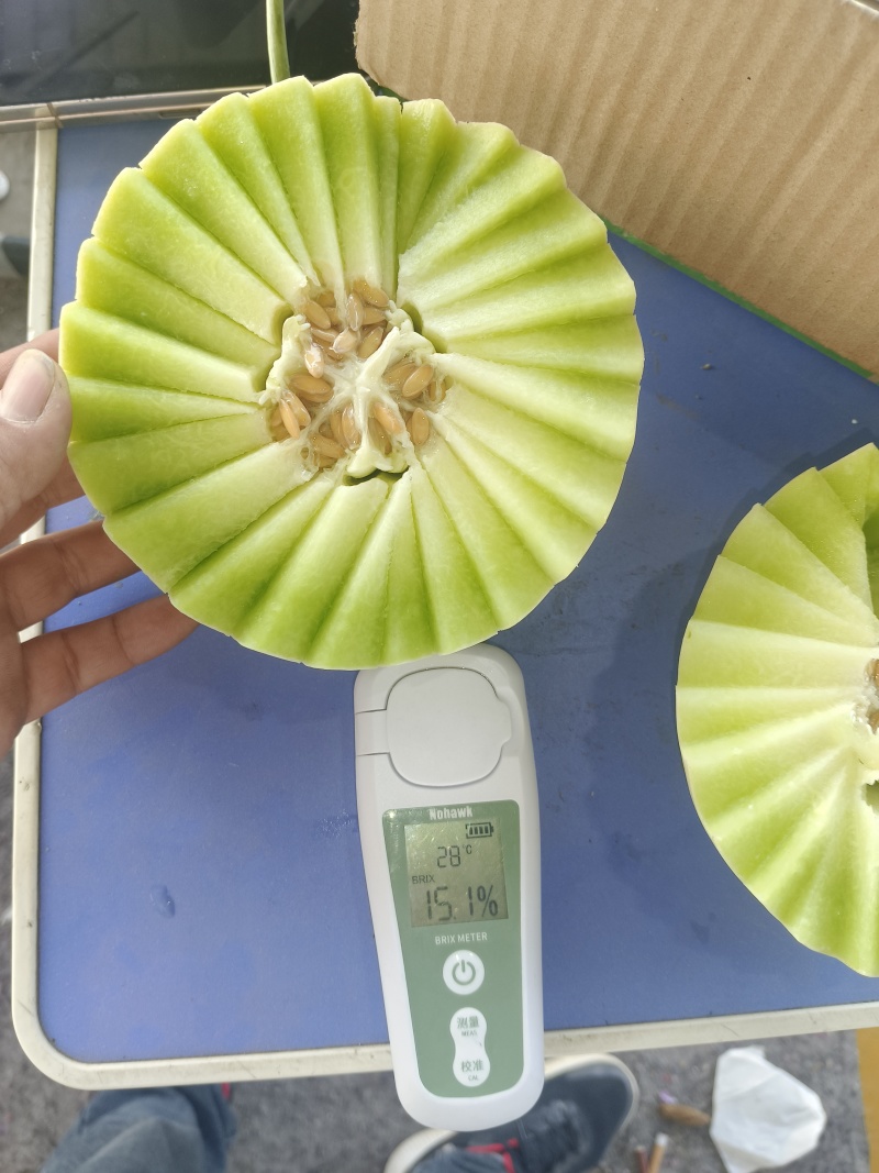 玉菇甜瓜大量上市对接各大商超，电商平台，支持一件代发