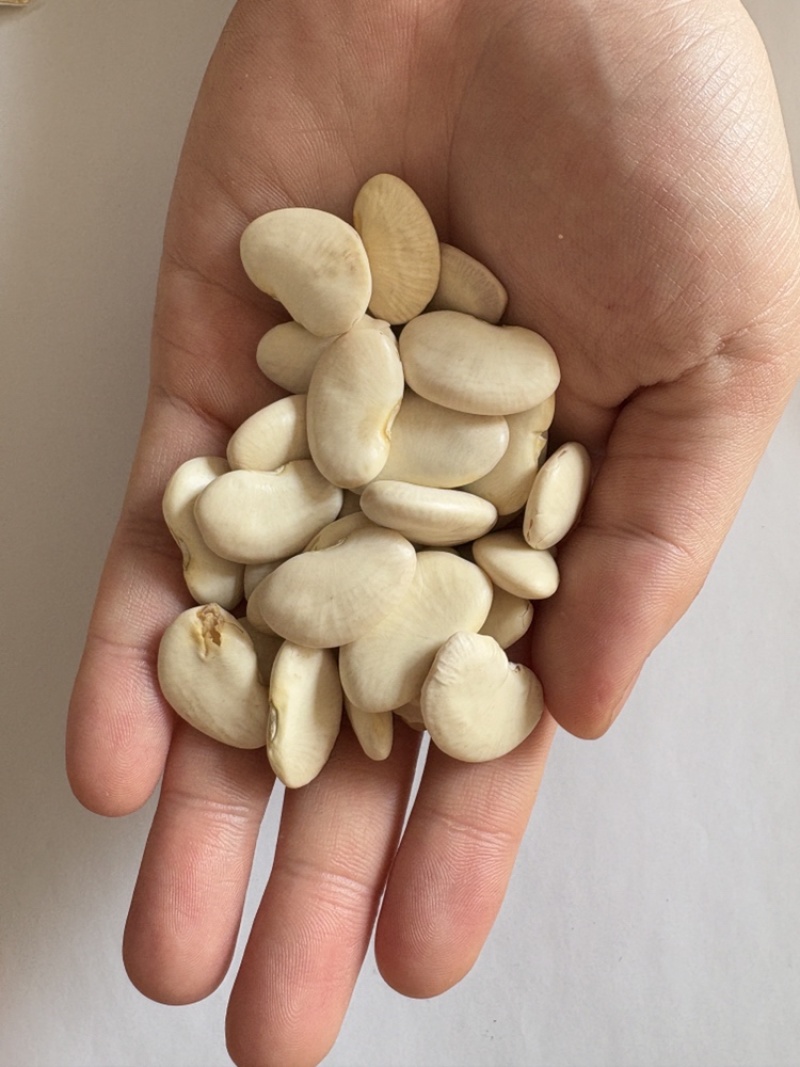 大白芸豆质优价廉，可视频看货，可一件代发，对接全国