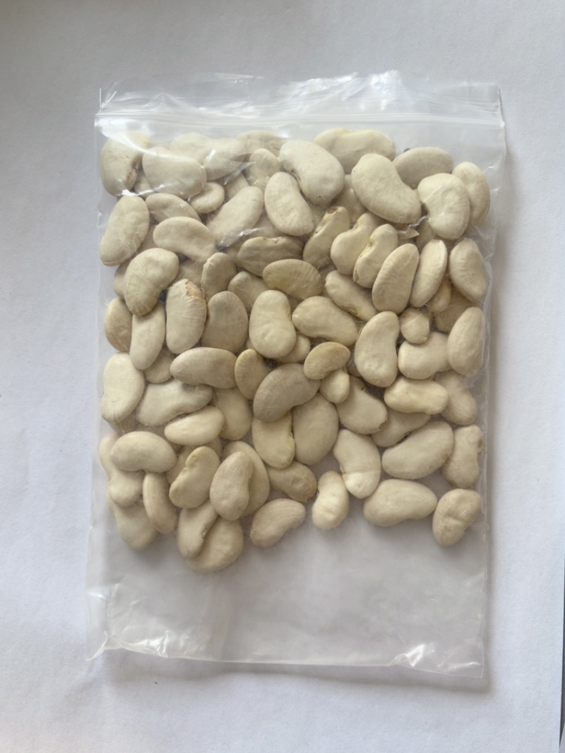 大白芸豆质优价廉，可视频看货，可一件代发，对接全国