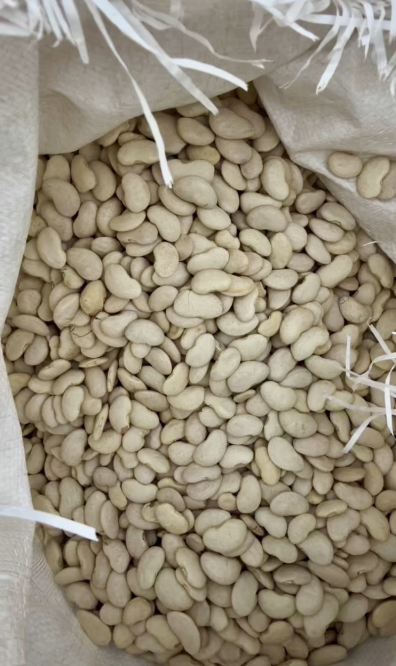 大白芸豆质优价廉，可视频看货，可一件代发，对接全国