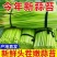 新鲜蒜苔现摘现发产地直发对接电商一件代发专业代办代发代存