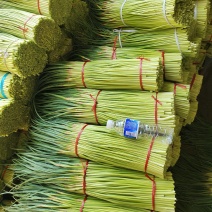 中牟精品红帽蒜薹产地直供一手货源质量保证代发全国