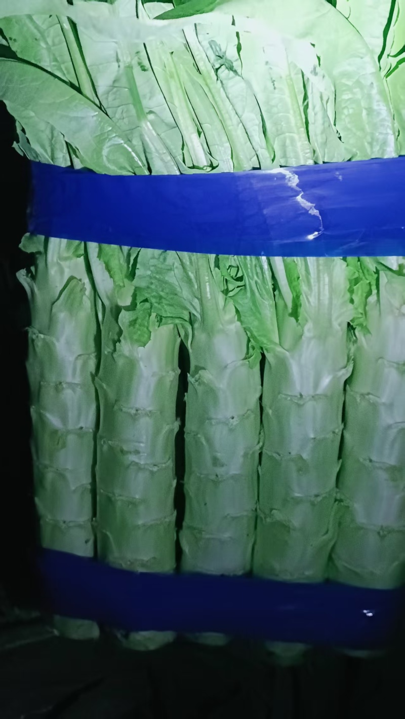 莴苣尖叶莴笋品种齐全，量大从优，保质保量，电联价格可谈