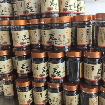 山东孢子粉灵芝孢子粉产地直供量大从优欢迎来电咨询订购