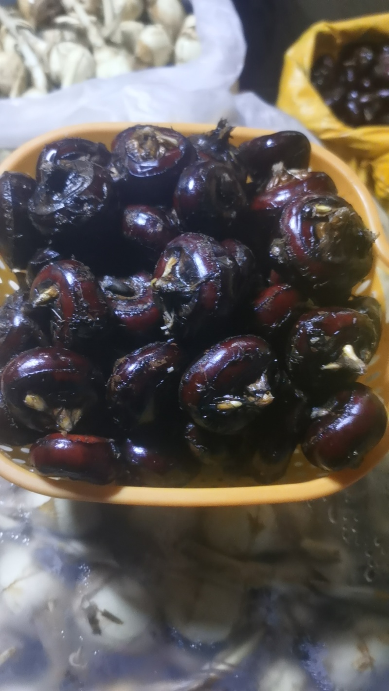 精品马蹄