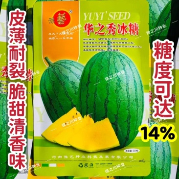 豫艺华之秀冰糖黄瓤西瓜种子椭圆形花皮黄肉礼品西瓜种籽脆甜