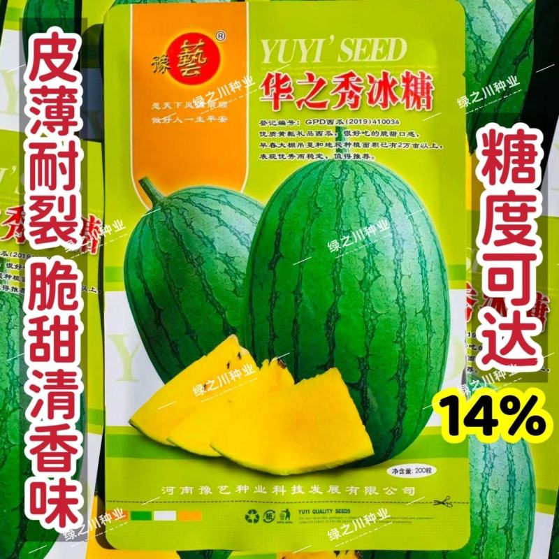 豫艺华之秀冰糖黄瓤西瓜种子椭圆形花皮黄肉礼品西瓜种籽脆甜
