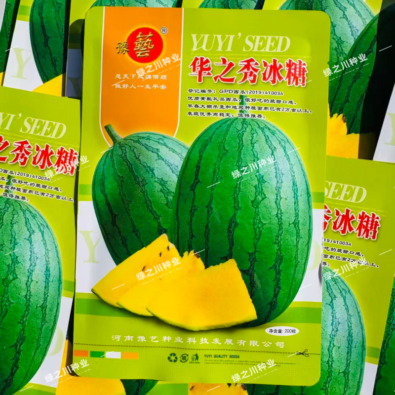 豫艺华之秀冰糖黄瓤西瓜种子椭圆形花皮黄肉礼品西瓜种籽脆甜