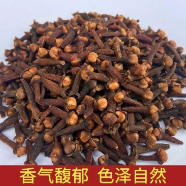 广西特级公丁香干***正宗香料无硫解腻卤肉炖肉去腥留香