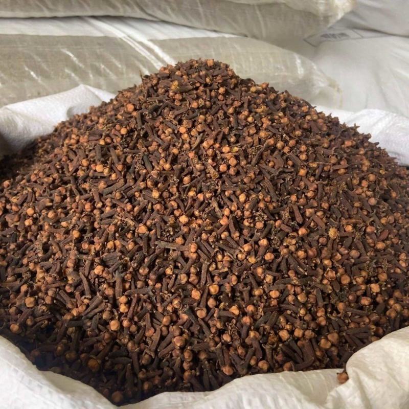 广西特级公丁香干***正宗香料无硫解腻卤肉炖肉去腥留香