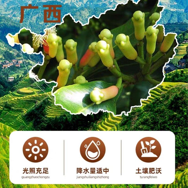 广西特级公丁香干***正宗香料无硫解腻卤肉炖肉去腥留香