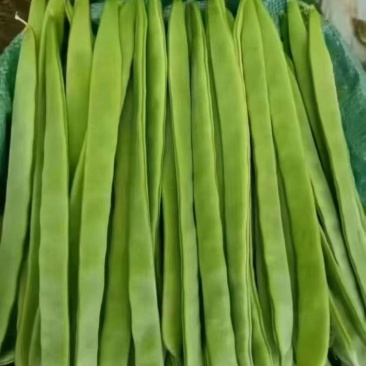 扁豆角