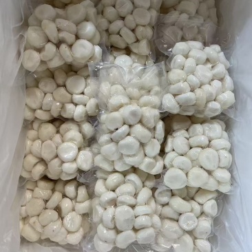 水果马蹄