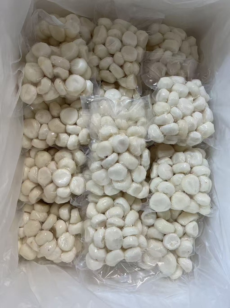 水果马蹄